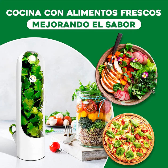 Conservador de Hierbas Frescas Premium 🌿 | Mantén tus hierbas frescas por más tiempo